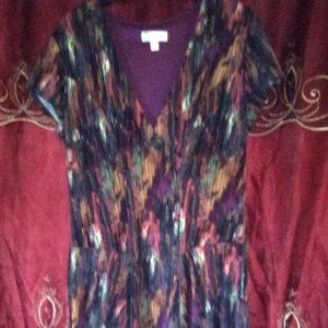 Dressbarn size 12 purple green fall colored dress